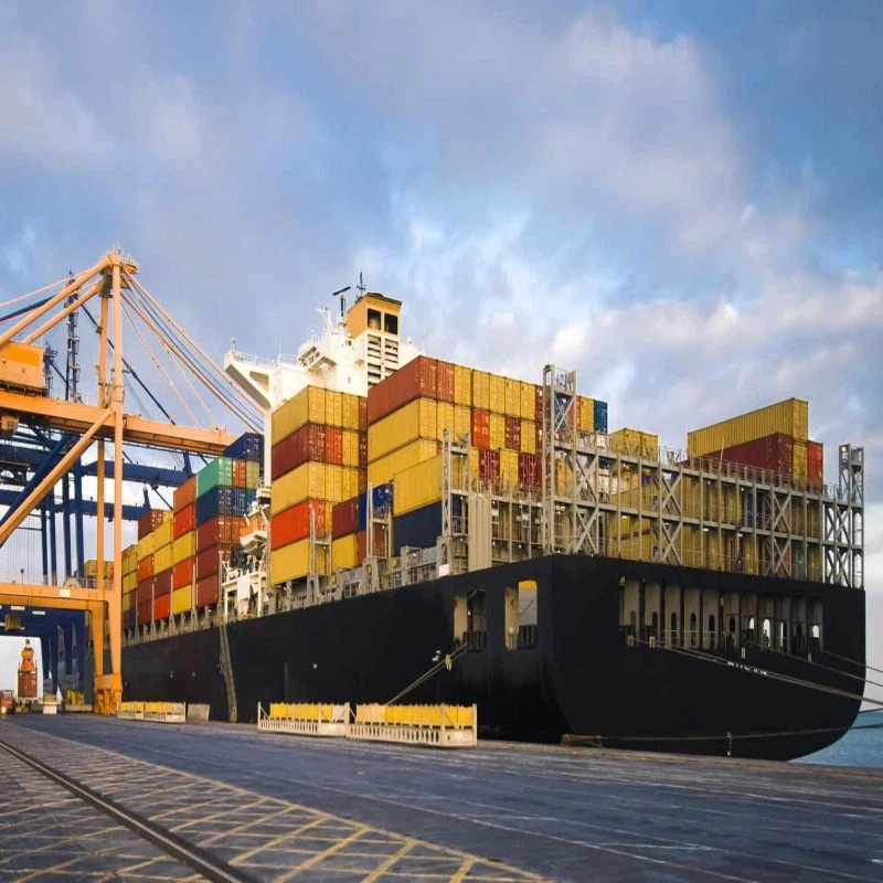 sea cargo international